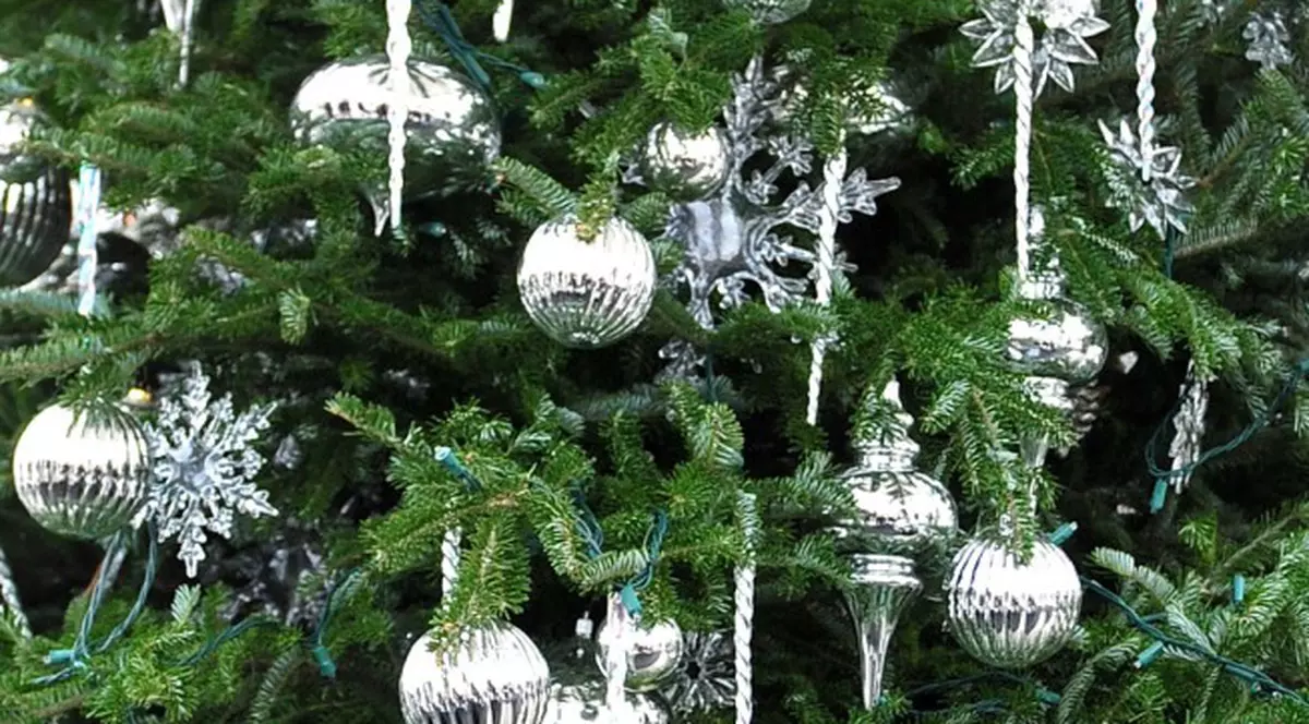 Ăsta da cadou de Sărbători! A născut sub bradul de Crăciun