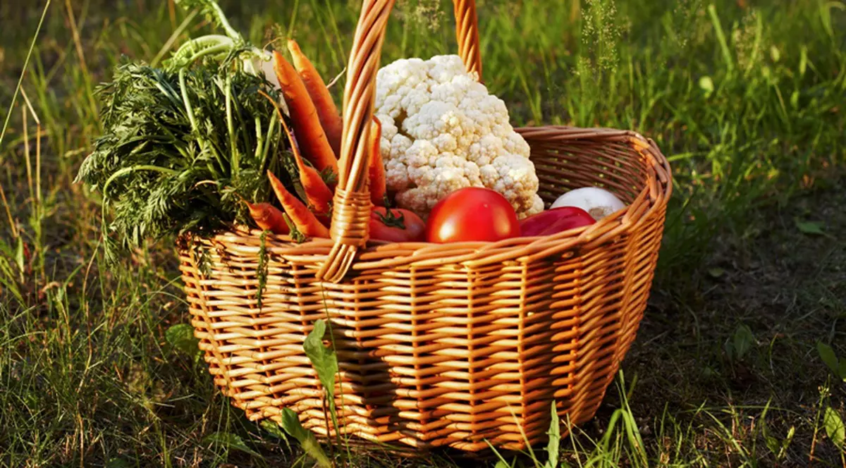 Olandezii reacţionează la declaraţiile lui Băsescu! Eurodeputaţii români vor primi coşuri cu...legume