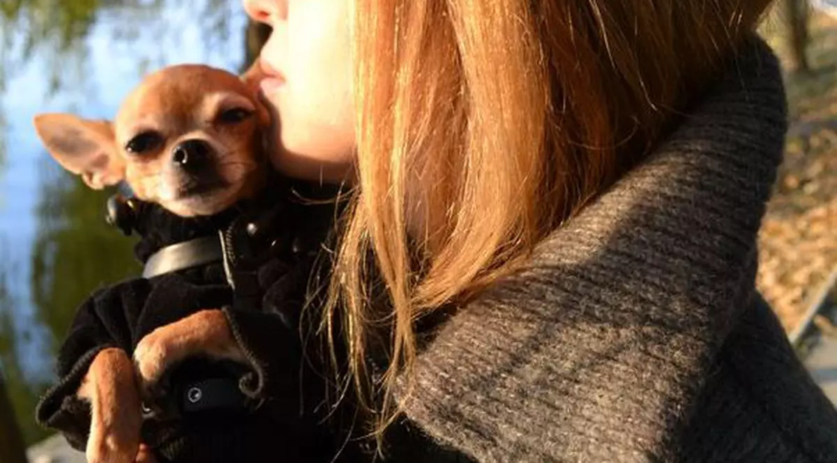 Anca Badiu: "Îmi voi castra cățelușa la o clinică din Viena"