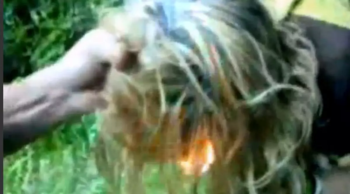 ŞOCANT! Un grup de golani bat un băiat şi-i dau foc la păr | VIDEO