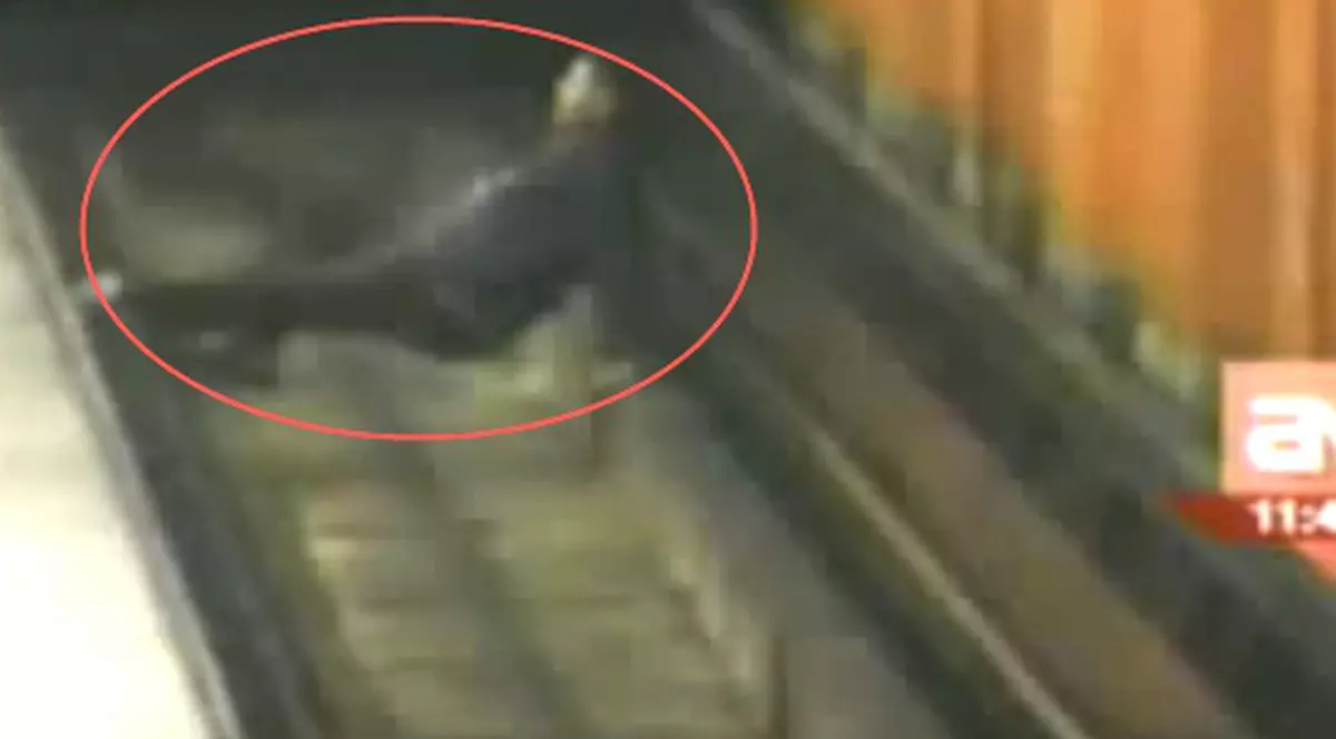 Un bărbat cade pe şina de metrou şi nimeni nu îi sare în ajutor | VIDEO