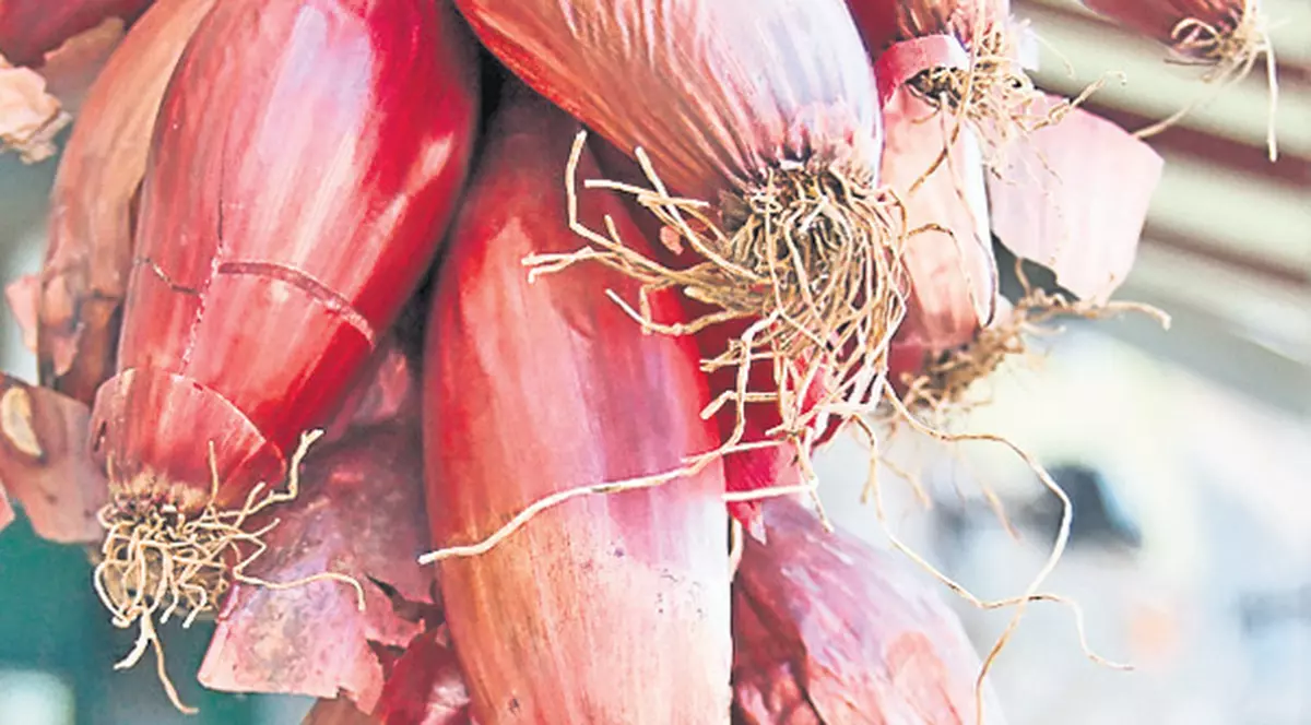 Ceapa: remediul rău mirositor, care-ți face atâta bine!