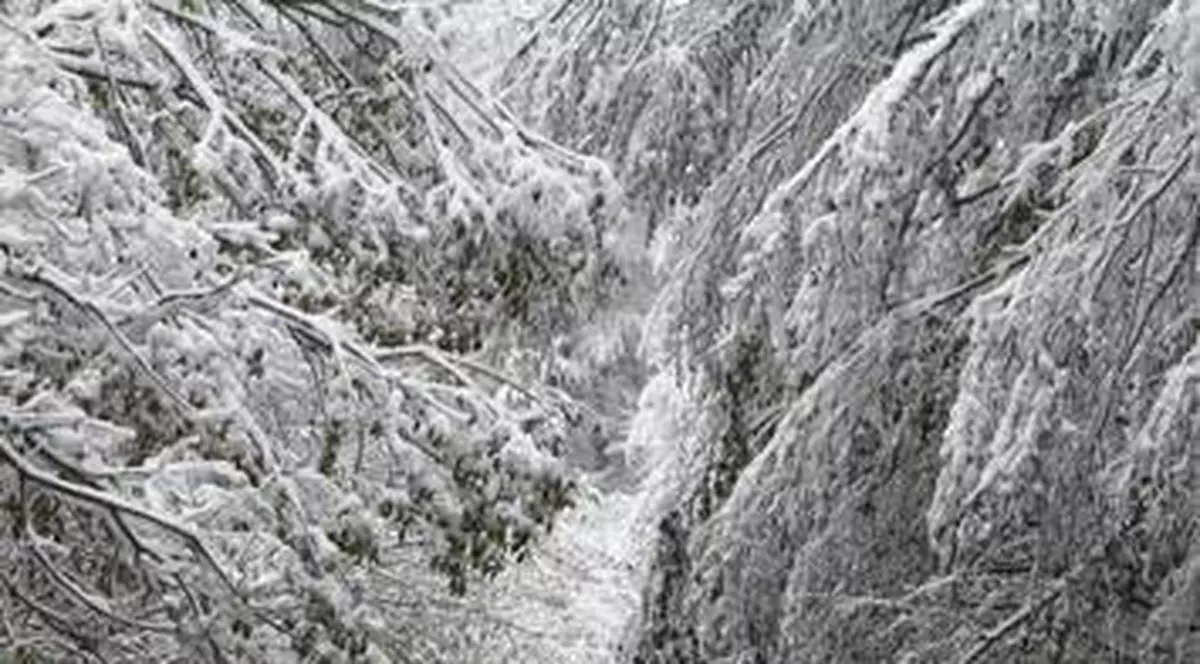 Iarna ne dă de furcă. Pe mai multe drumuri din ţară se circulă cu dificultate!