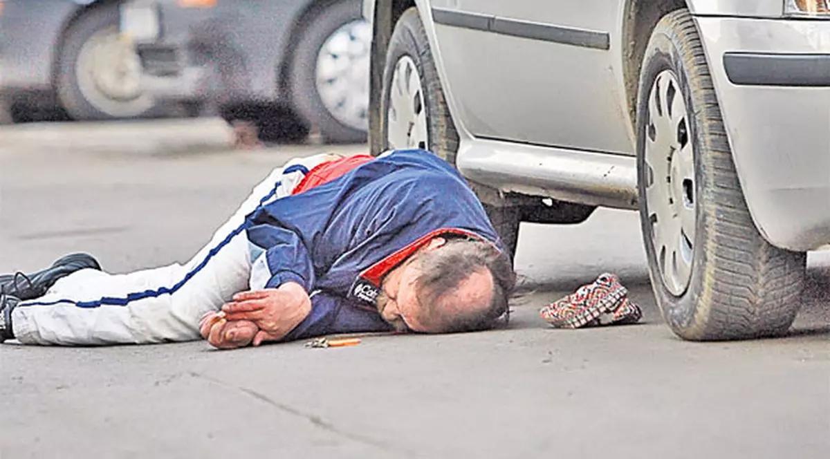 Fotografie de la cititori | Ia uite unde şi-a găsit să tragă un pui de somn!