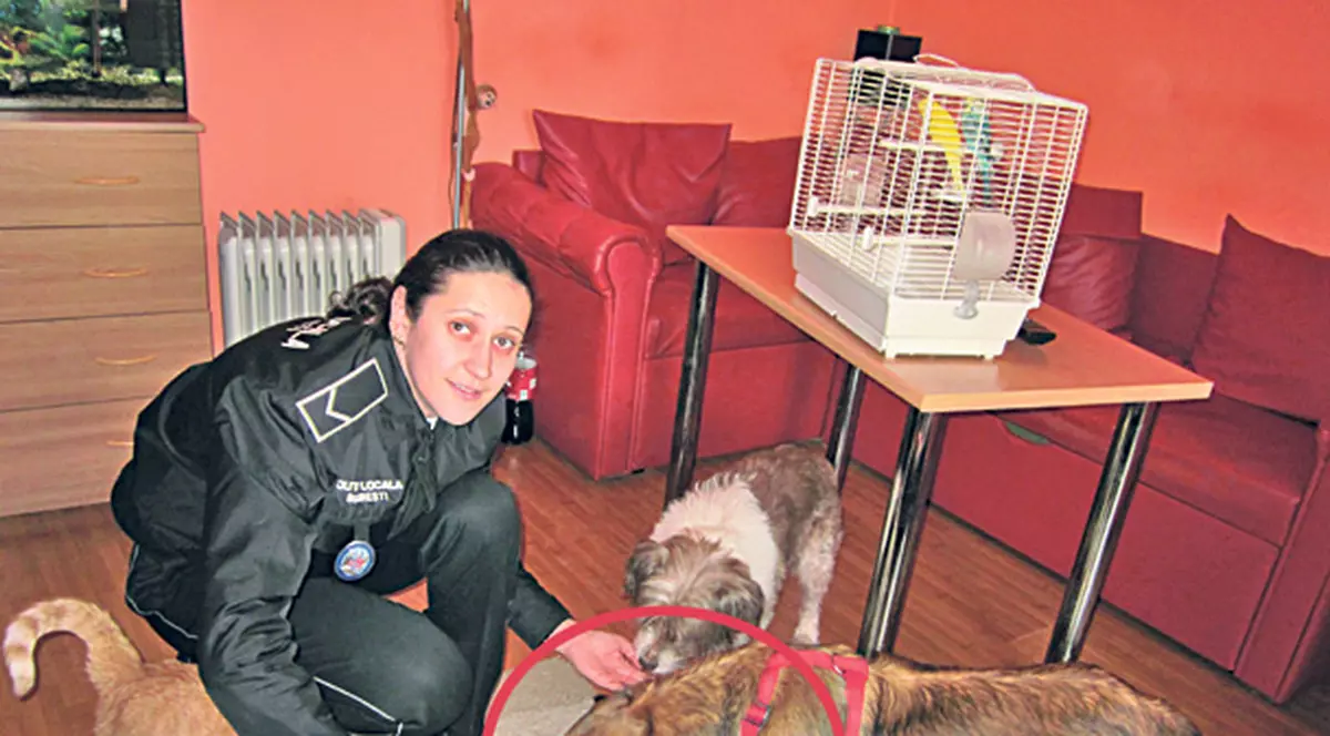 Căţeluşa Ema şi-a găsit stăpân