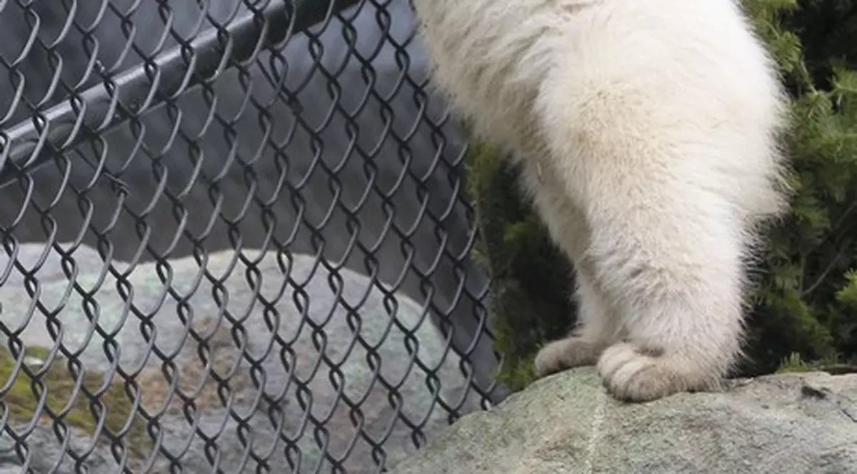 Acest adorabil ghem de puf nu a fost încă ”botezat”! Ce nume crezi că i s-ar potrivi? | FOTO