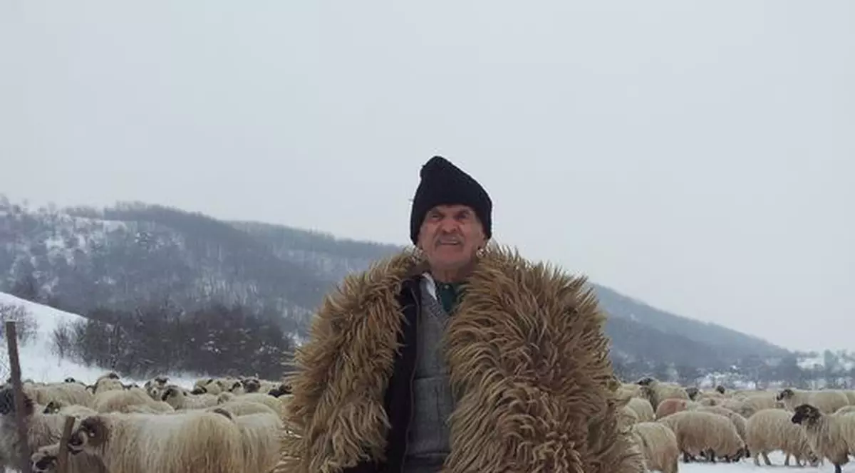 Un cioban e şomer cu acte în regulă la 95 de ani! Ţuica – secretul longevităţii sale