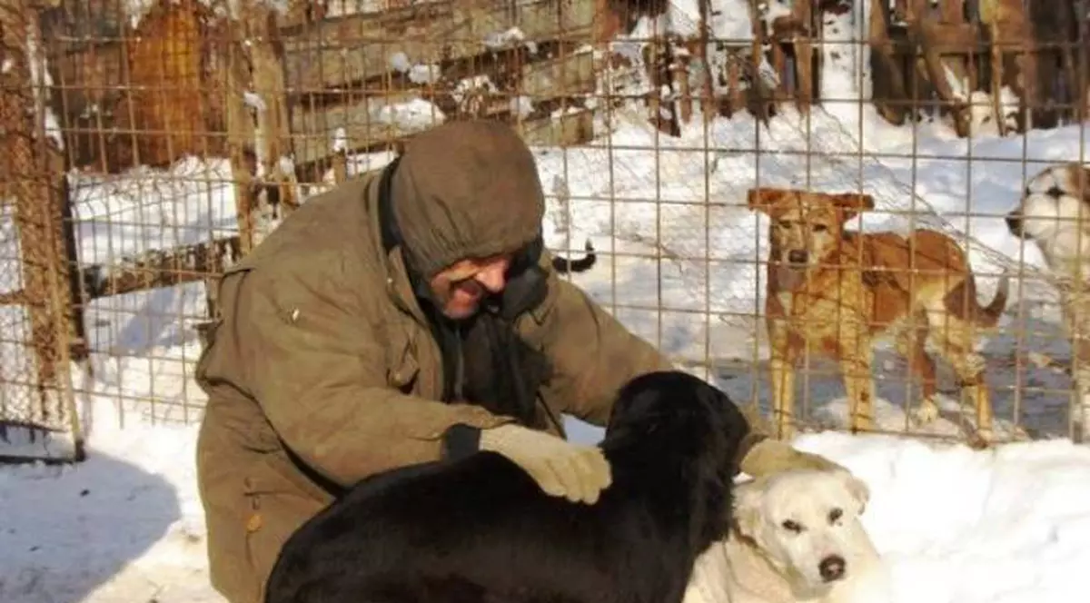 Iubeşti câinii? Ajută patrupedele de la adăpostul din şoseaua Chitilei să nu moară de foame în această iarnă!