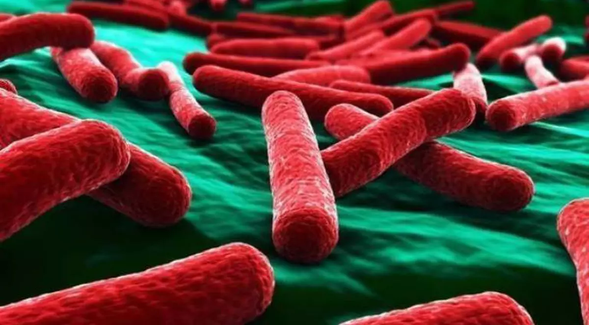 Bacteria care roade plămânii, în România?