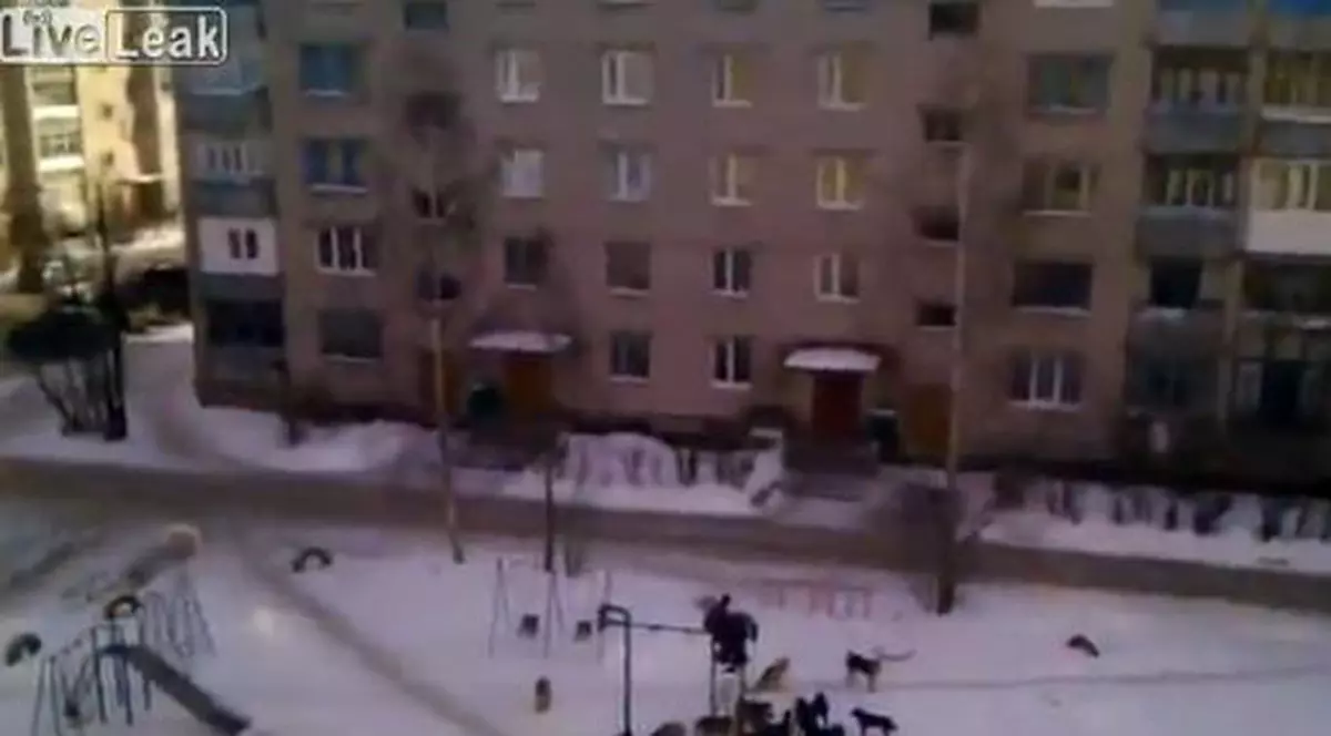 SĂRACII COPII! Înconjurați de o haită de câini flămânzi, au fost la un pas să fie mâncați. Vezi cum au scăpat! VIDEO