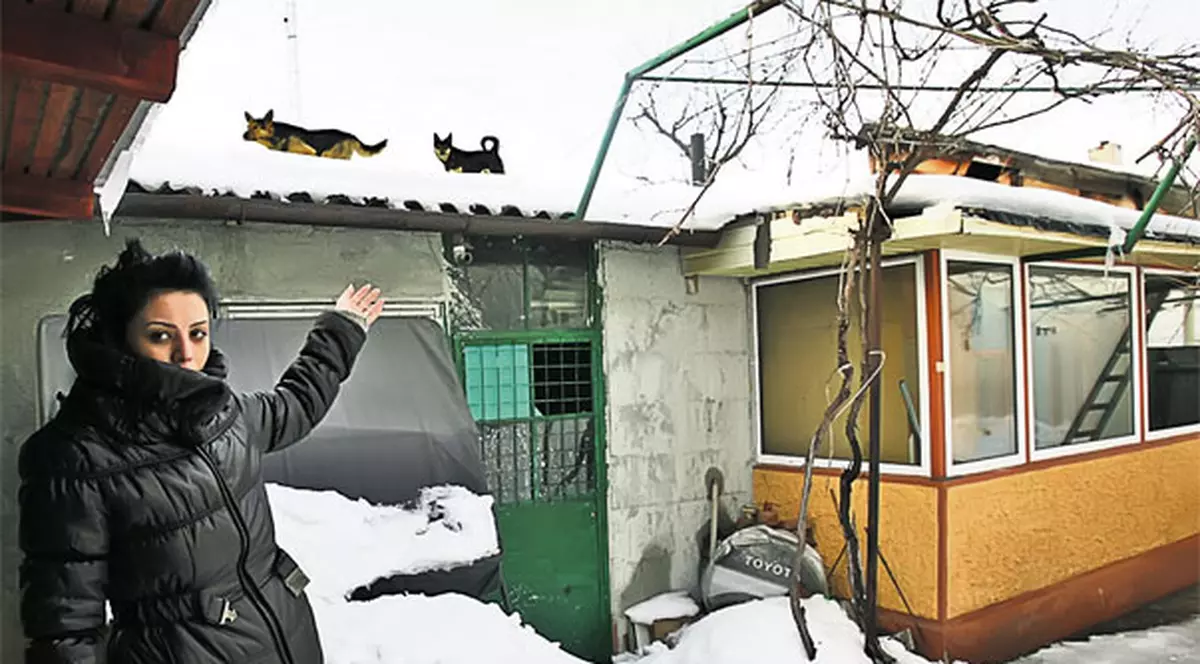 Se ceartă cu vecinul ei din cauza animalelor care i se urcă pe casă: «Câinii-maimuță îmi distrug acoperișul!»