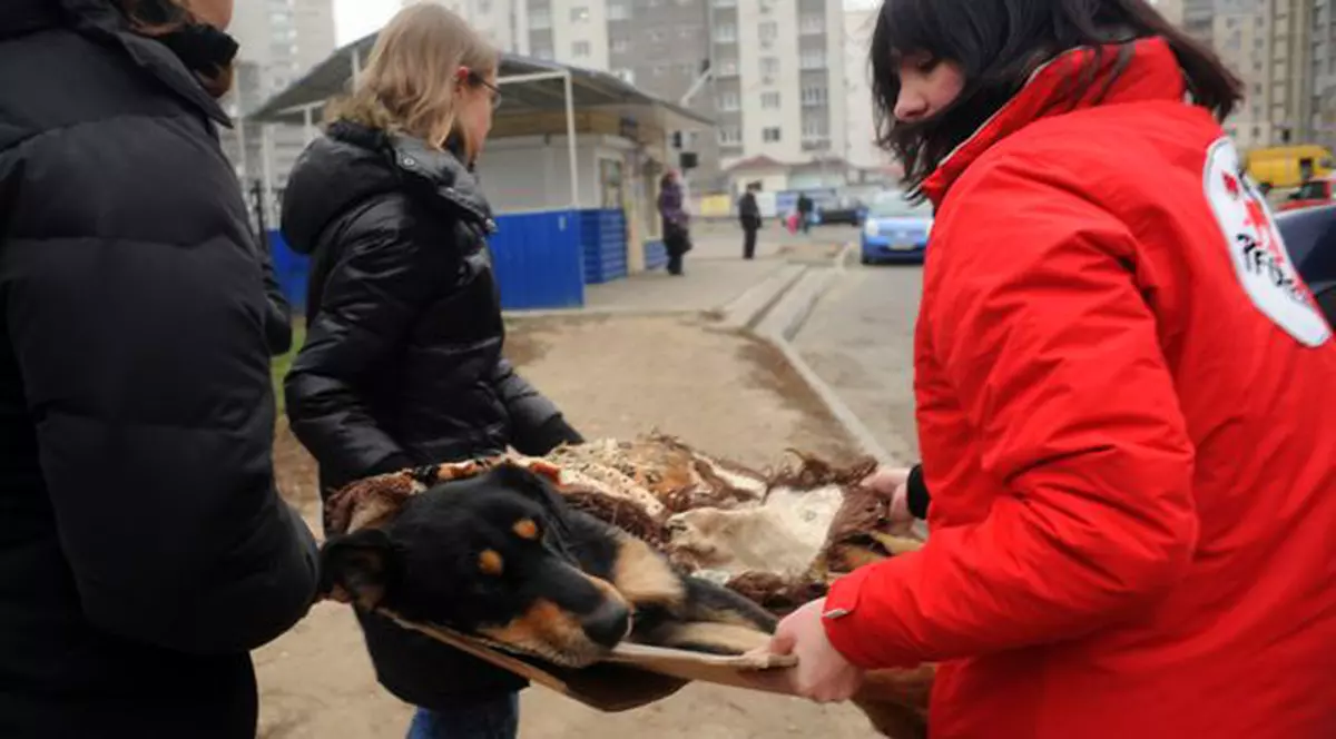 Veterinari români participă la o campanie fără precedent