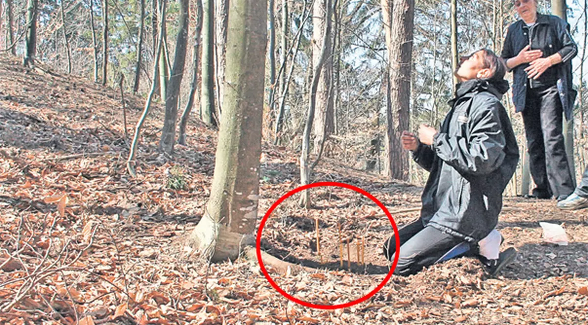 Mama copilului de 10 ani care s-a spânzurat în pădure: «Era prea mic să ajungă așa sus!»