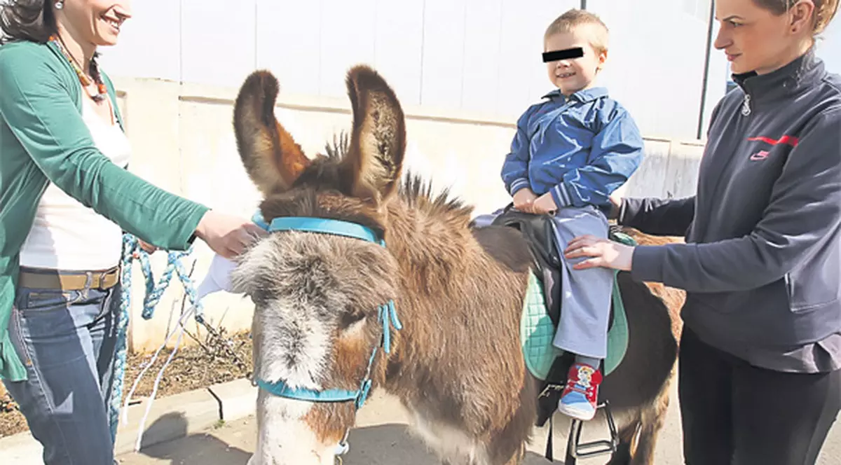 O formă inedită de terapie pentru micuţii cu sindromul autist | Vindecați de măgăruși