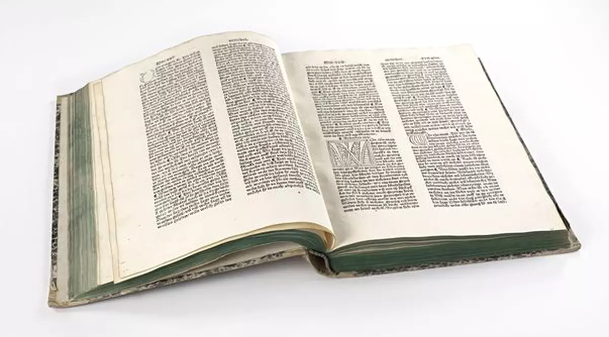 Studiu: Un sfert dintre români nu merg la bibliotecă din lipsă de timp