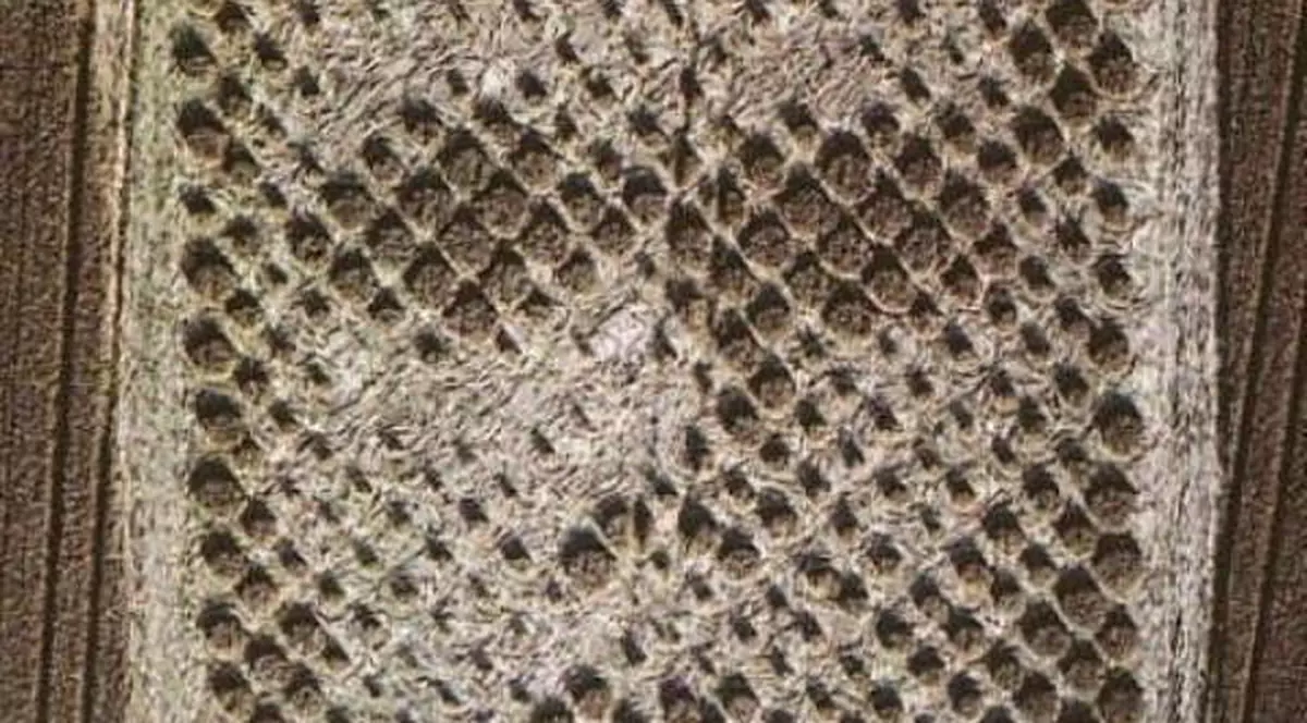 Primele menţiuni despre farfurii zburătoare au apărut în ţările române acum 500 de ani. Bătălia lui Mihai Viteazul, supravegheată de un OZN