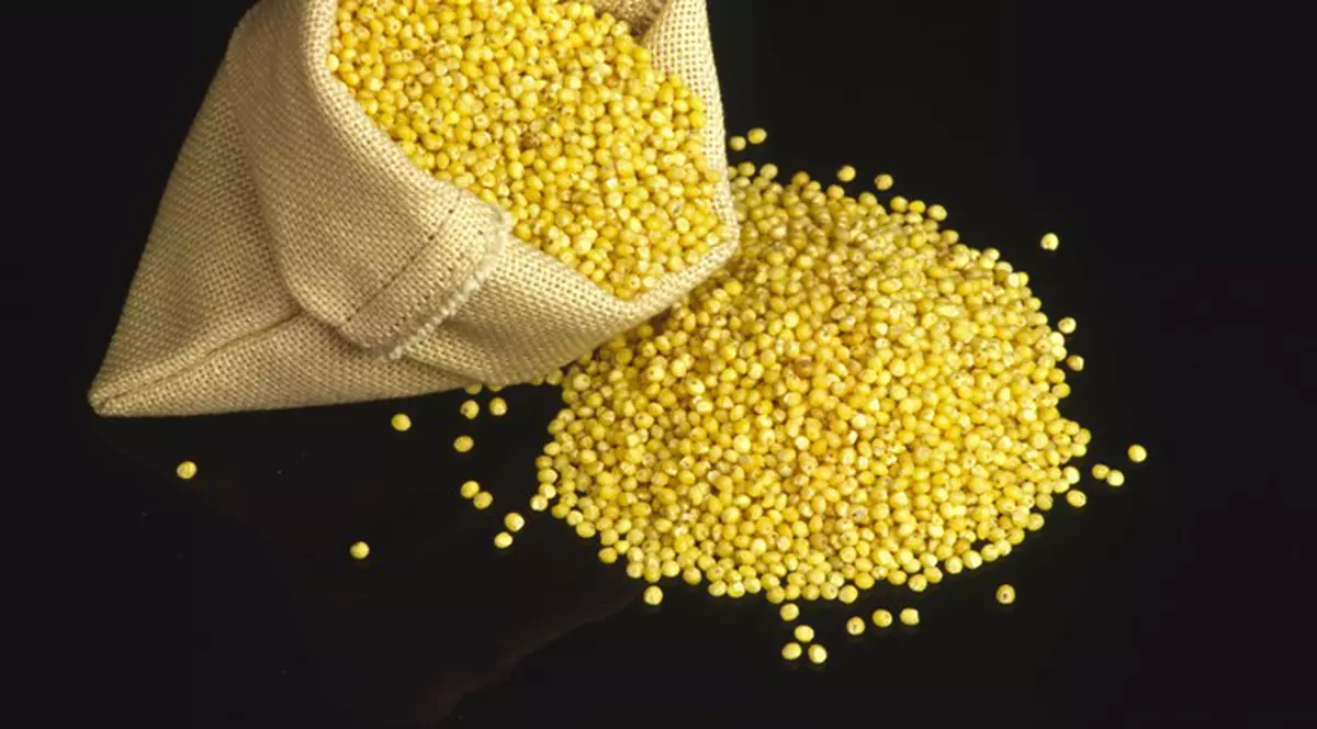 Meiul te scapă de mirosul neplăcut din gură. Află ce alte beneficii mai are şi cum se prepară!