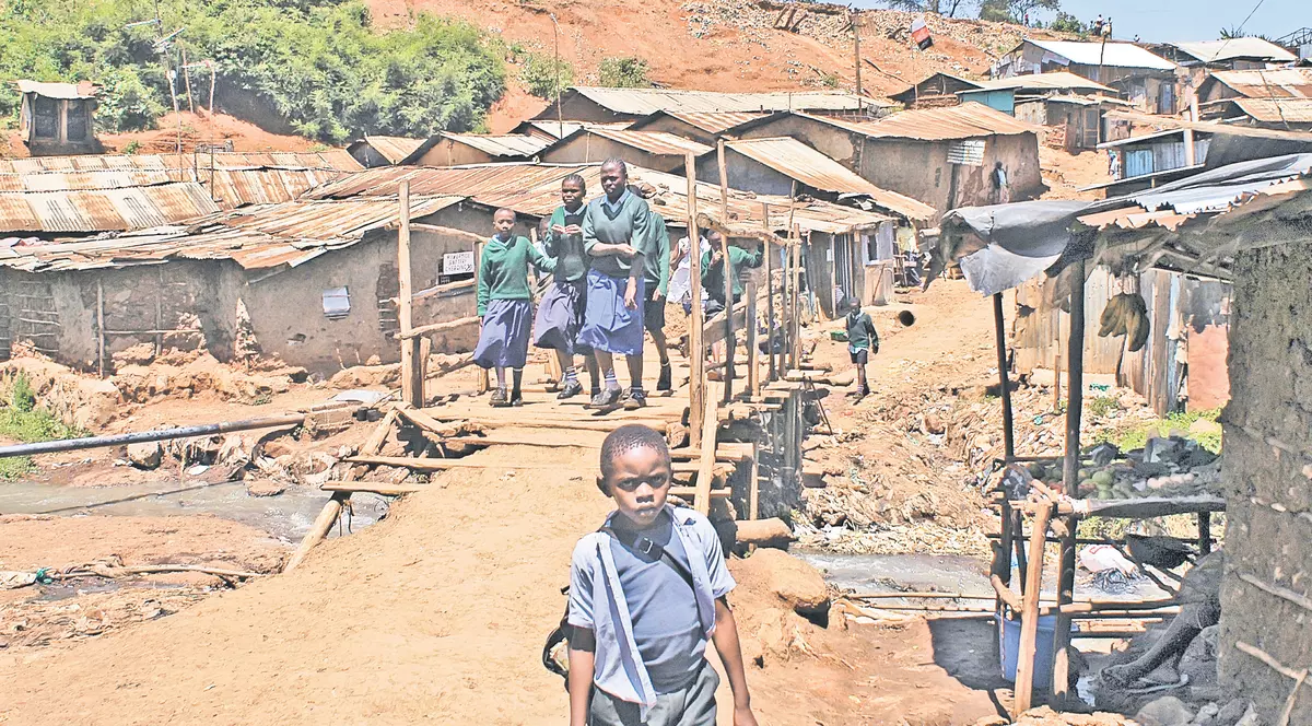 Deputatul Mihail Boldea, adus pe banii noştri!