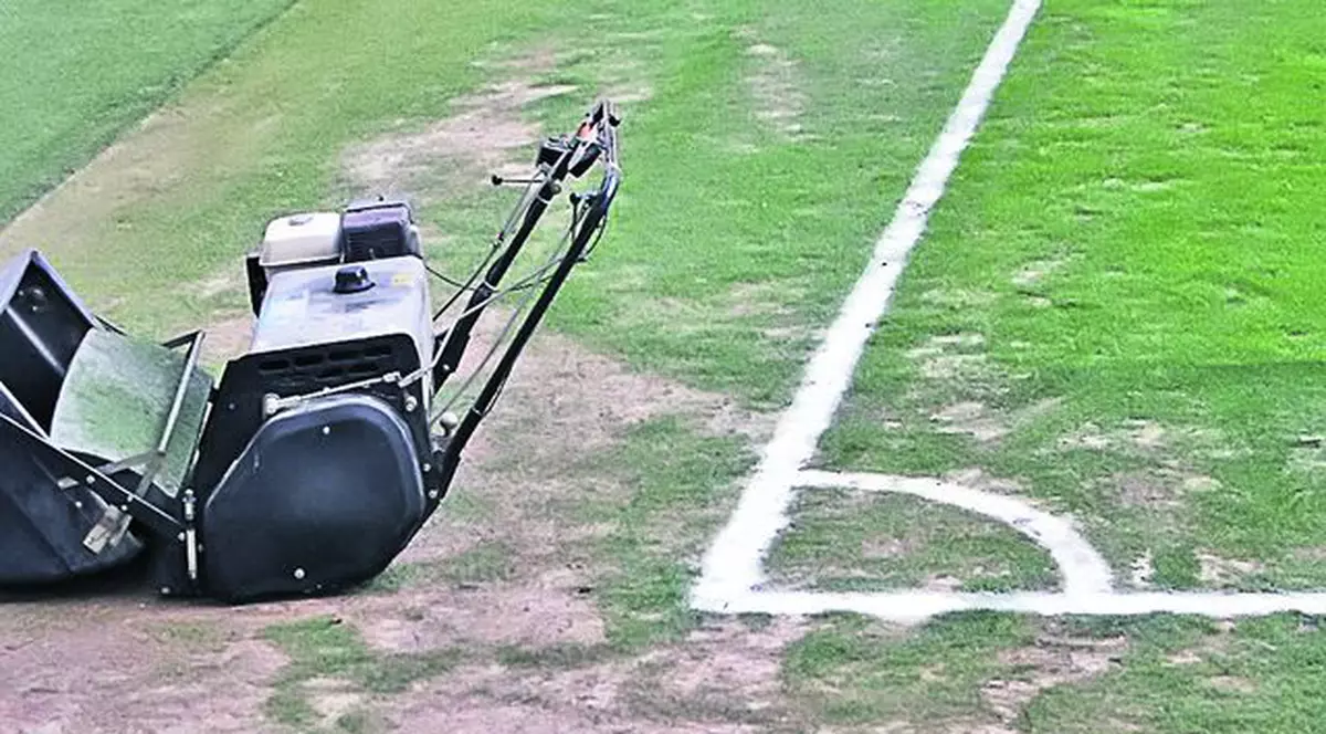 Mai dăm 1.000.000 € pe gazon nou