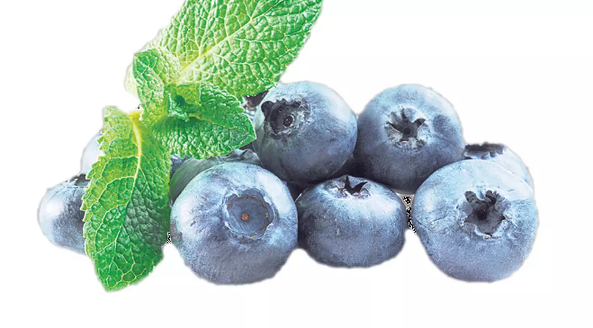 Consumă 10 alimente care îţi dau energie