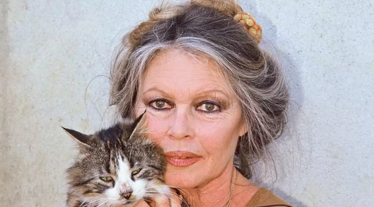 Brigitte Bardot către Regele Juan Carlos: "Nu sunteţi cu nimic mai bun decât braconierii. Sunteți o rușine a Spaniei!"