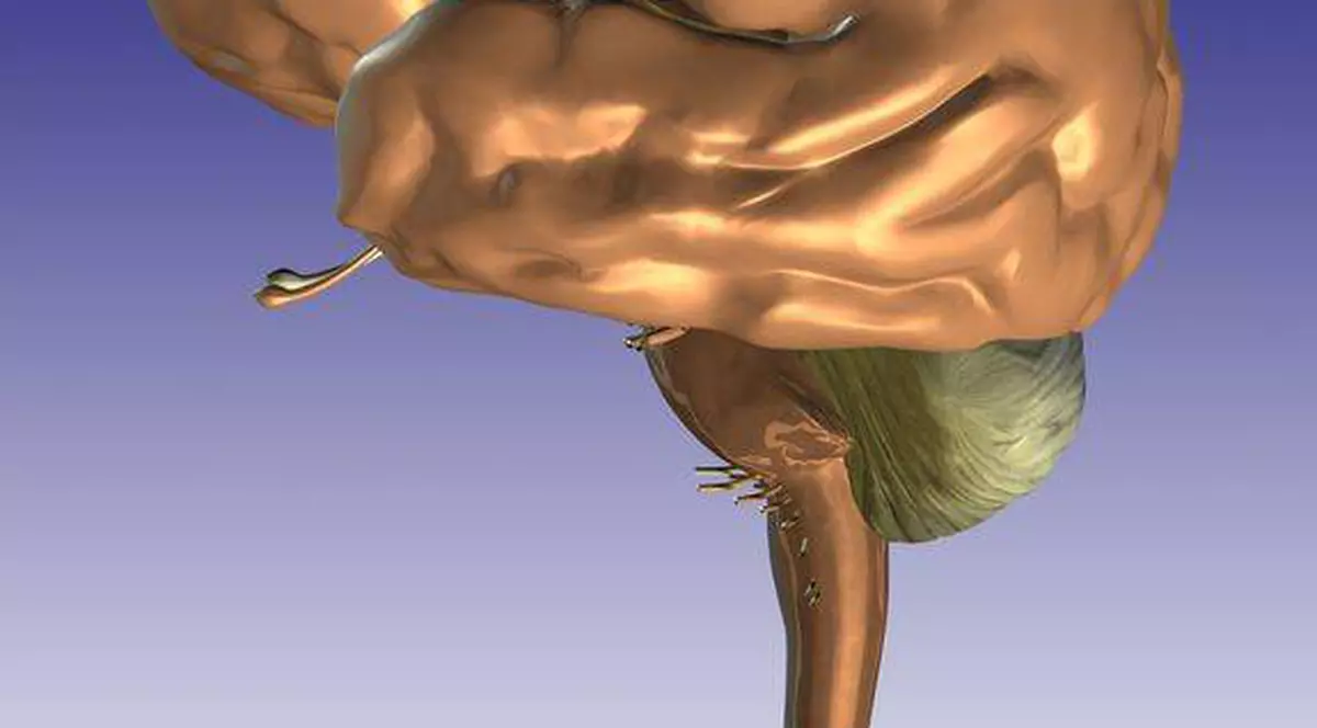 Află care sunt cauzele care îţi încetinesc şi distrug creierul! 