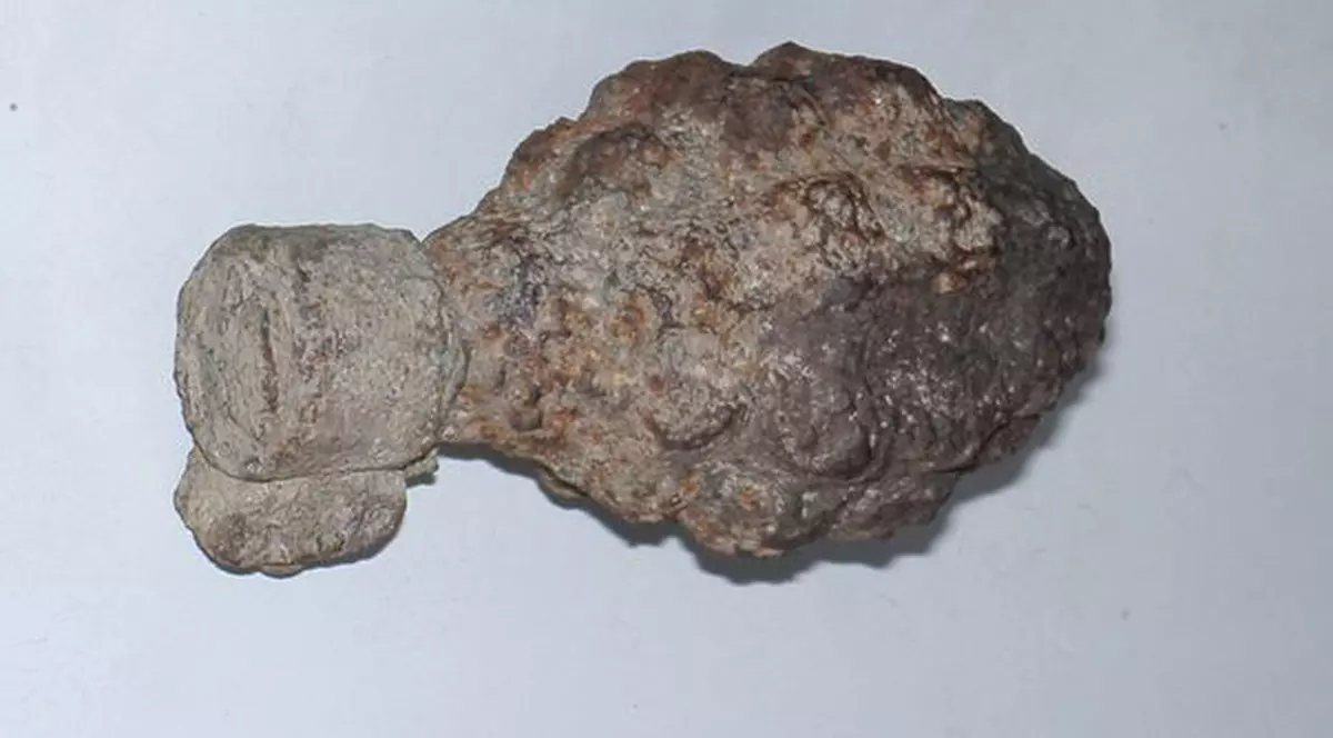 Un bărbat care căuta fier vechi a găsit două grenade în râul Colentina