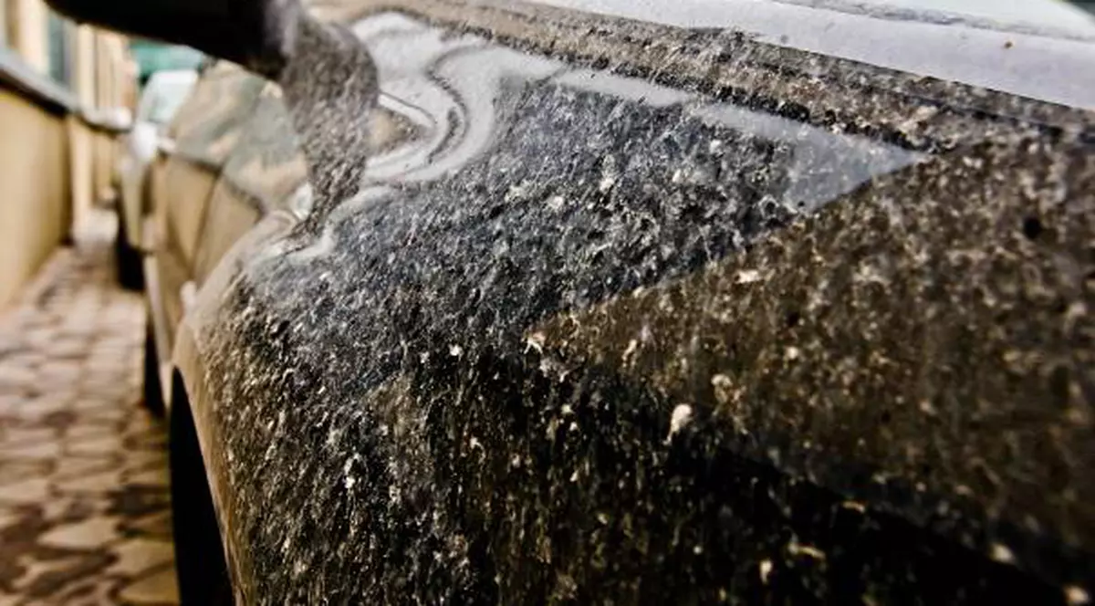 A înnebunit vremea! Vin ploile colorate!