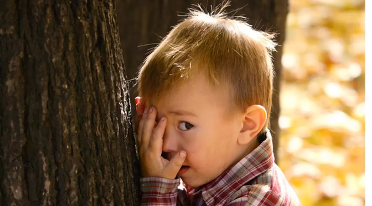 Dramă în parc! Au mers cu băieţelul de 2 ani la joacă şi un copac s-a prăbuşit peste el!