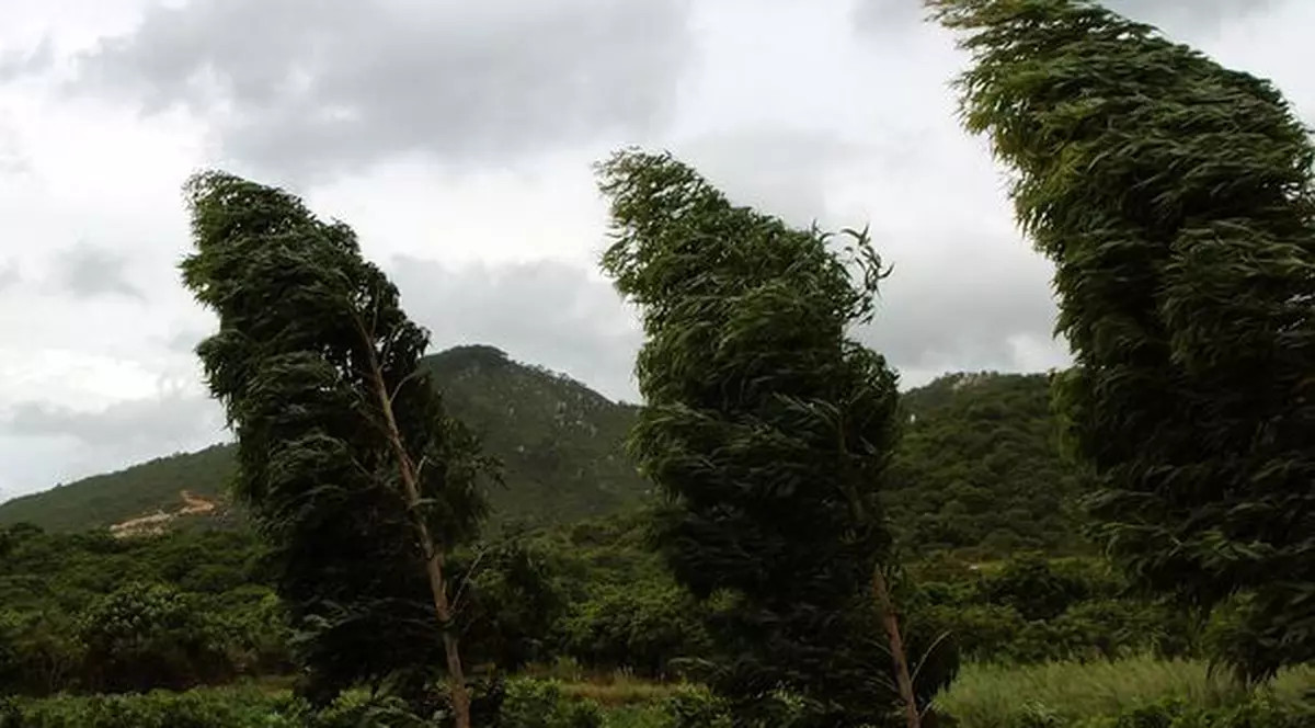 Avertizare de vânt puternic în șase județe