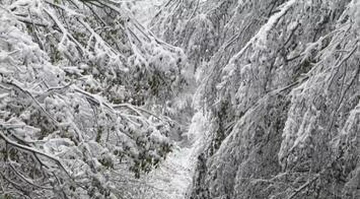 O furtună de zăpadă a lăsat fără curent zeci de mii de case în Americard-est