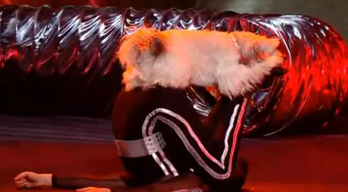 VEI FI IMPRESIONAT! Uite cine a câştigat "Britanicii au Talent"! | VIDEO