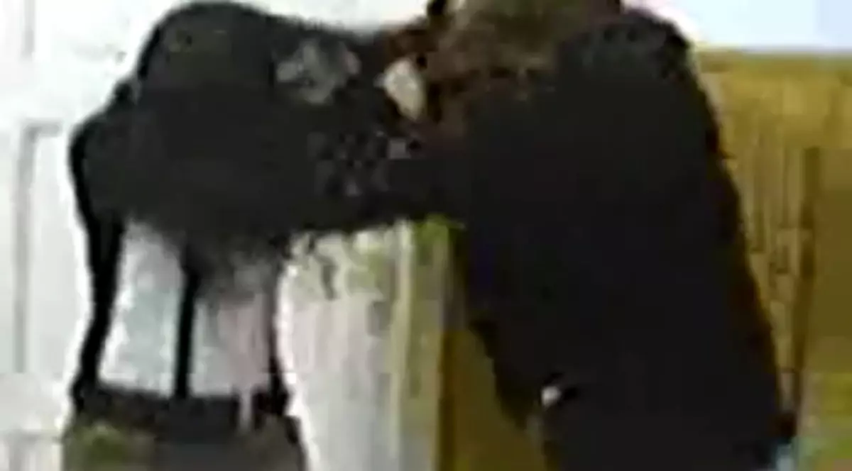 LOCAL KOMBAT la şcoală! Două eleve s-au LOVIT CU PUMNII ŞI CU PICIOARELE, în clasă | VIDEO