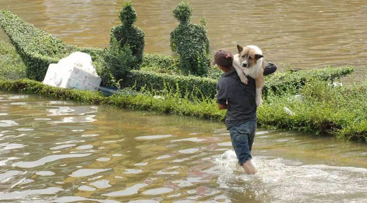 Zeci de gospodării INUNDATE, în judeţul Bacău! Un bărbat a murit