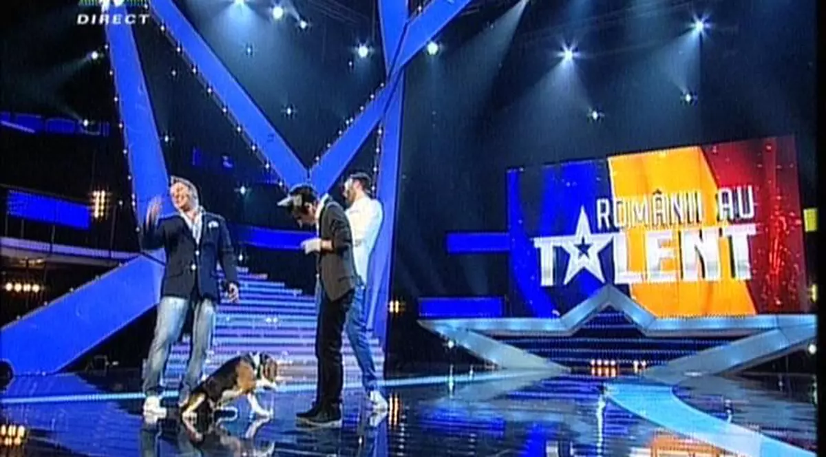 Uite ce salut i-a pregătit Bailey lui Mihai Petre, la "Românii au talent"