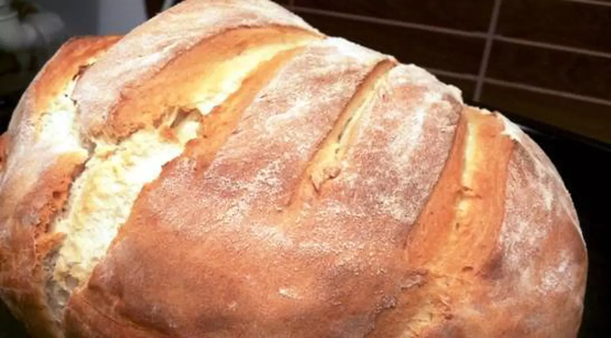 Pâine ieftină la tot poporul şi locuinţe pentru toţi tinerii cu şcoală