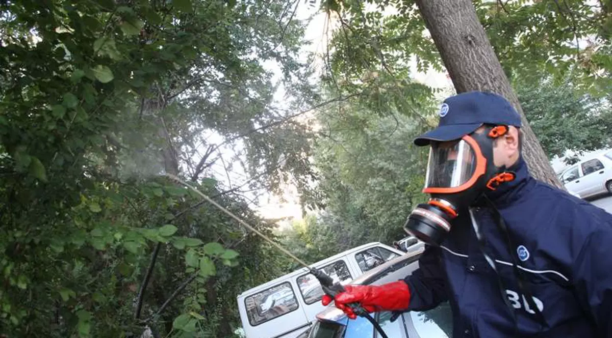 Parcurile şi spaţiile verzi, curăţate de căpuşe