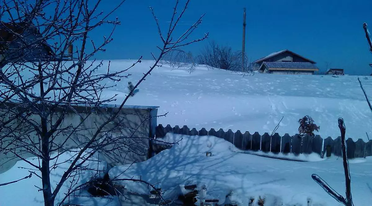 Agricultorii afectaţi de zăpezi primesc maximum 7.500 de euro!