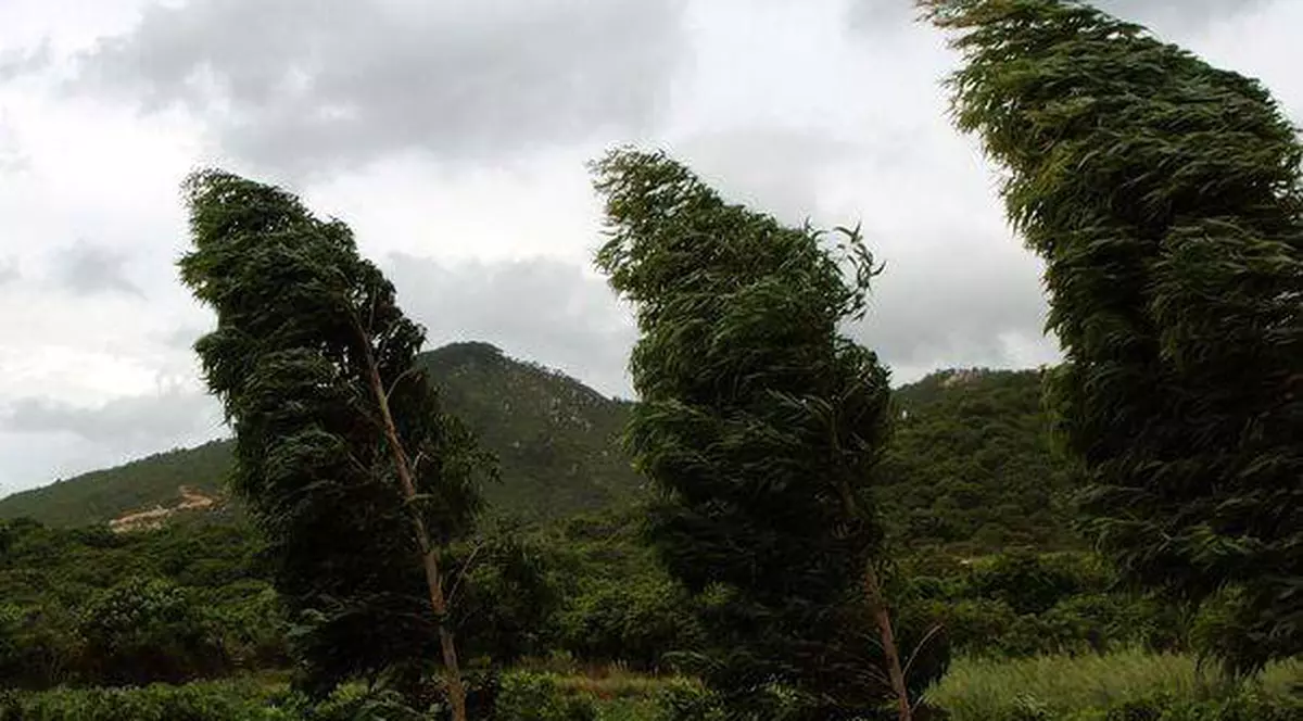 Nu scăpăm de PLOI! VEZI PROGNOZA pe trei zile   