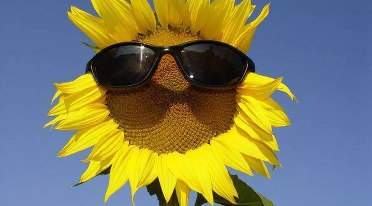 Vremea se încălzește începând cu 6 iunie. Vezi prognoza pe doua săptămâni!