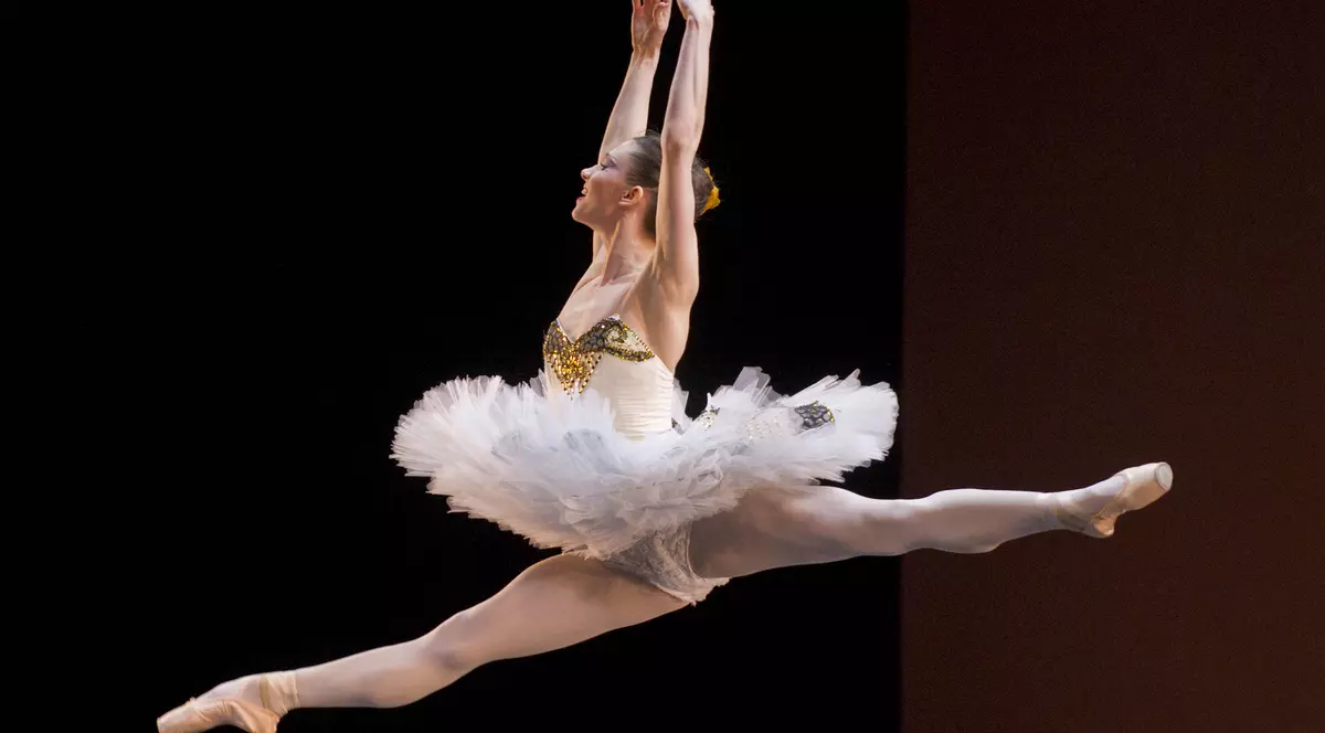 Proiectul Legii salarizării unitare nu respectă munca muzicienilor de orchestră