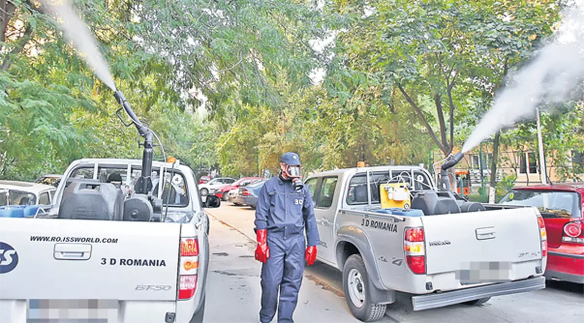 Autorităţile, în război cu ţânţarii