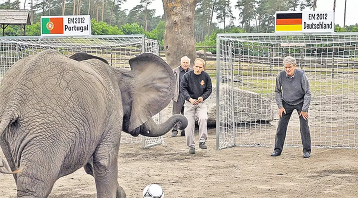 Euro-animalele | FOTO