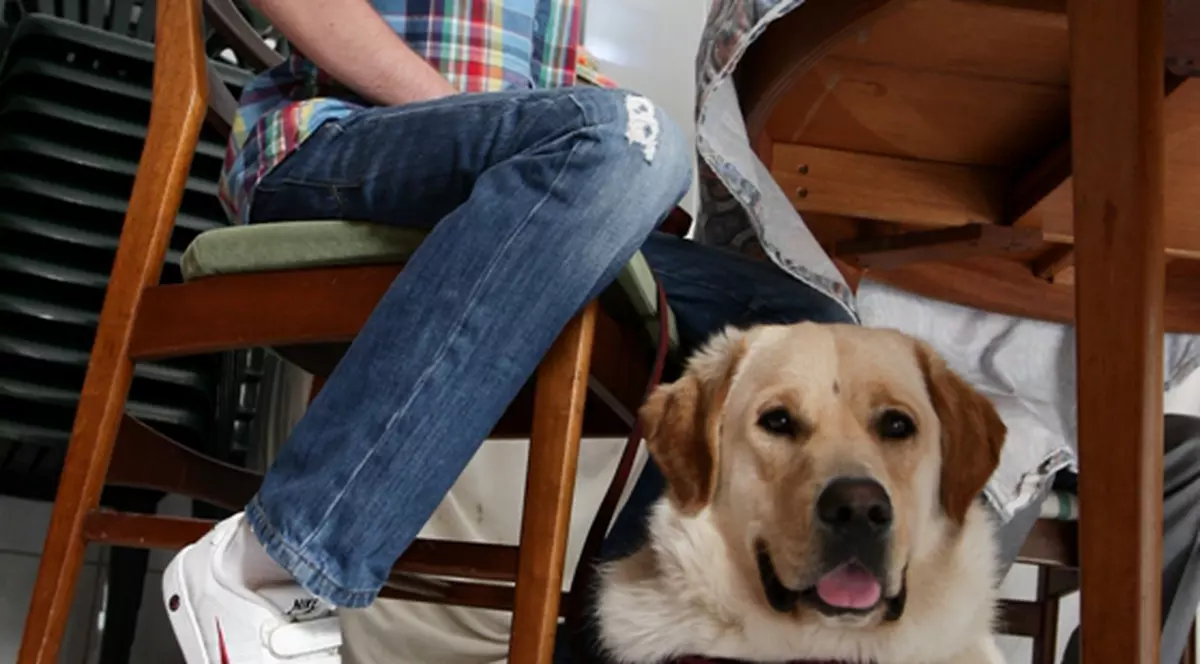 Un tânăr din Bucureşti e singurul nevăzător din România care va merge la şcoală condus de un câine