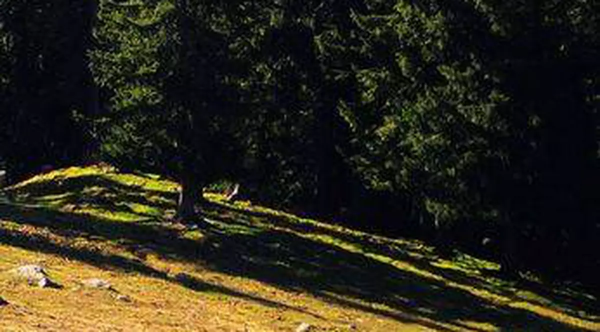 "Sunt POSEDAT, nu mai rezist", le-a transmis tuturor. Salvamontiştii îl caută de două zile prin Bucegi