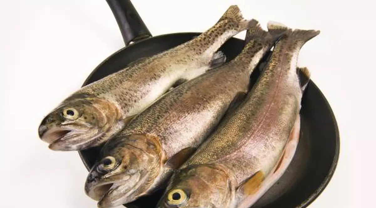 PĂSTRĂV CU PIURE DE CARTOFI