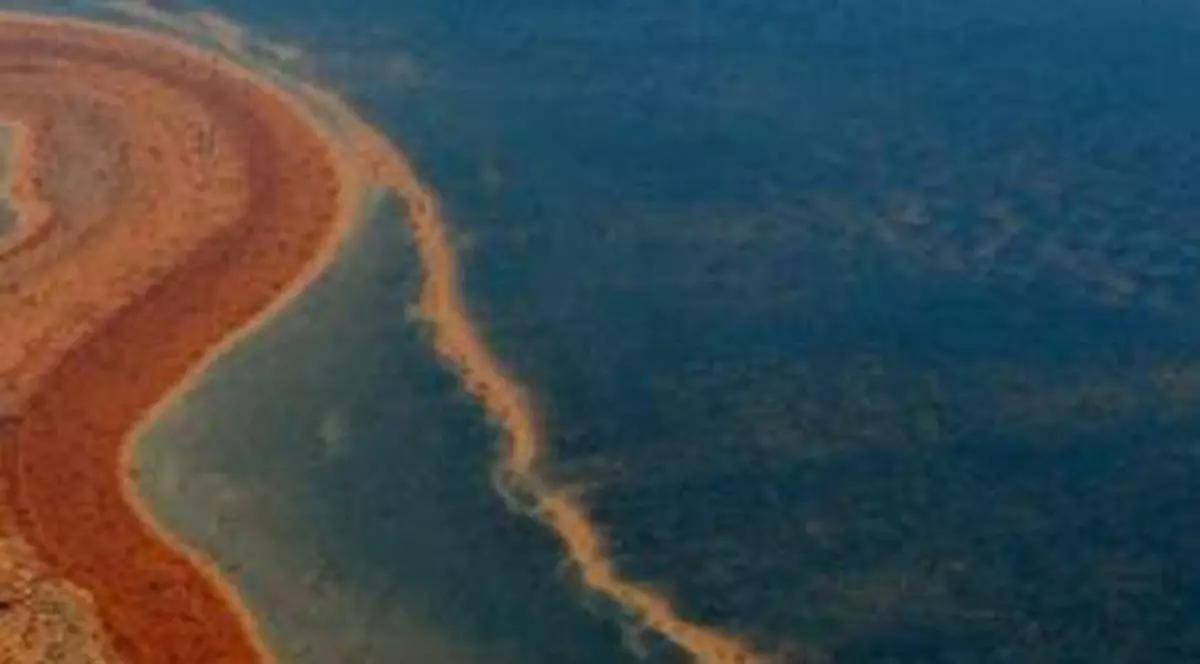 COŞMARUL de la MAMAIA. Turiştii au intrat în apă şi au înlemnit 