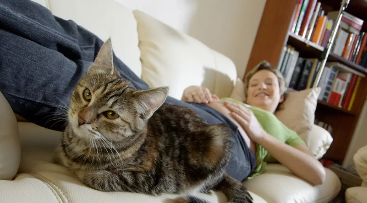 NĂPÂRLIREA, semnal de alarmă!