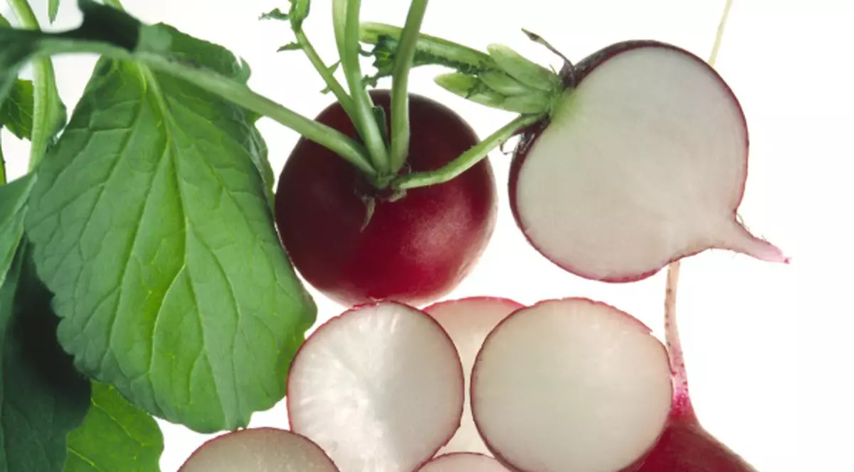 GHIDUL plantelor medicinale