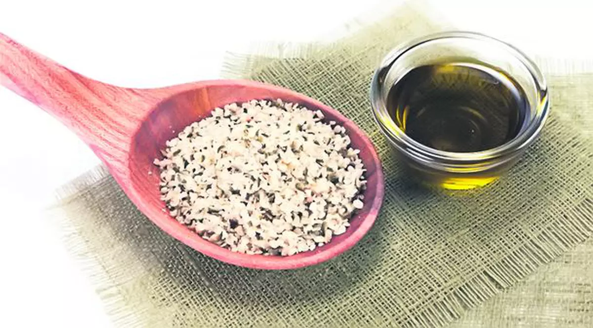 CÂNEPA – cea mai bogată sursă de proteină